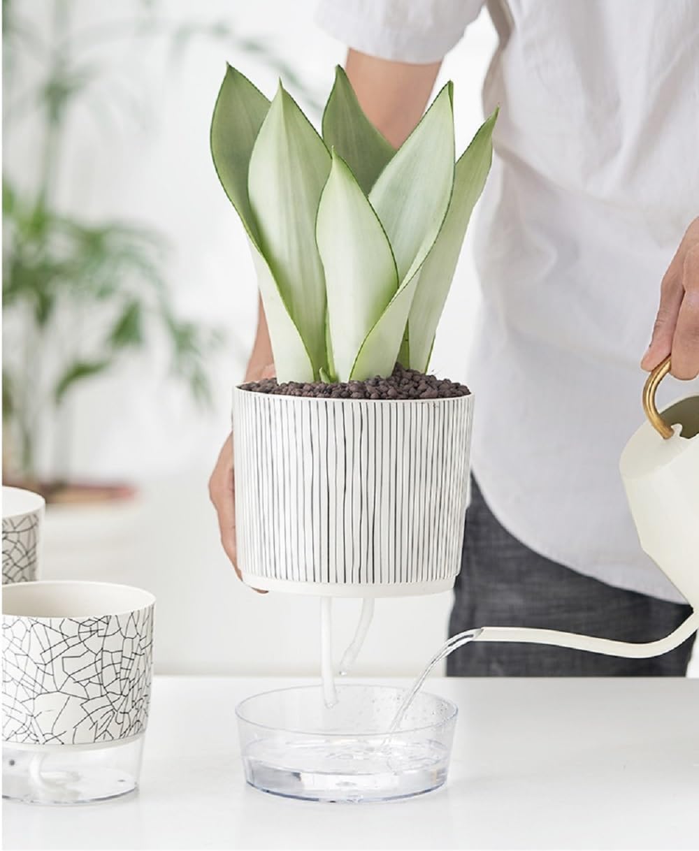 Self Watering Plant Pot