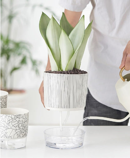 Self Watering Plant Pot